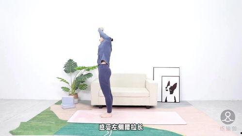 长椅事件吃瓜,一场引发热议的邻里纠纷