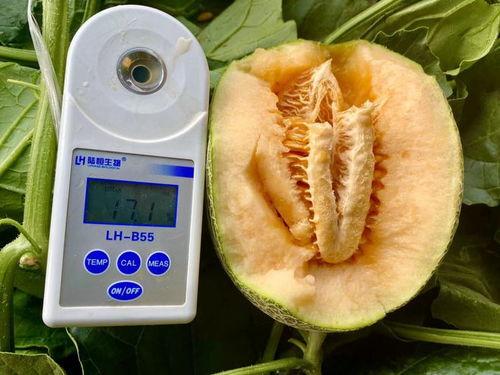 国产最新吃瓜合集,盘点最新热门事件大盘点