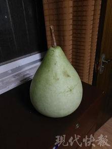 广州急诊吃瓜,一场“吃瓜群众”的围观盛宴