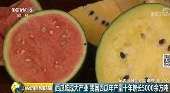 吃瓜消费