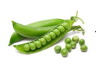 效率很高吃瓜,轻松掌握娱乐圈动态