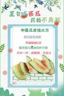 夏日云吃瓜图片,清凉一夏的趣味瞬间