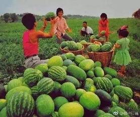 18岁吃瓜,我的瓜田初体验