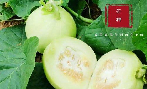 翰林府吃瓜top,揭秘顶级八卦背后的真相