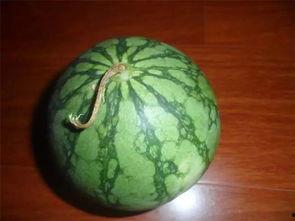 老盖吃瓜,揭秘娱乐圈那些不为人知的幕后故事