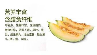 吃的什么瓜哈密的瓜不能吃