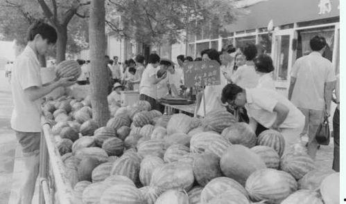 京城吃瓜案场,揭秘网络舆论背后的法律风云