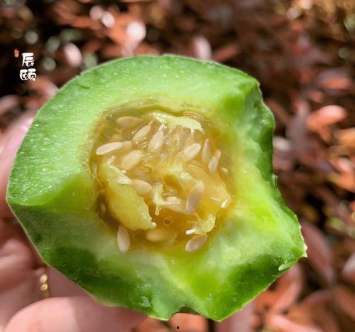 大白在吃瓜香蜜番外50,揭秘甜蜜背后的秘密