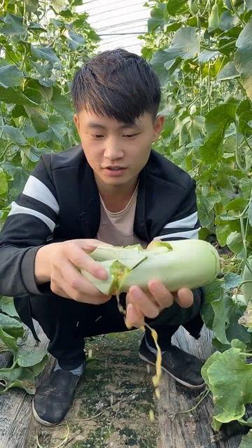 吃羊角瓜的女人