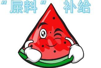 现场吃瓜啥意思,揭秘娱乐圈幕后风云