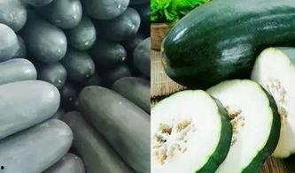 瓜了个瓜吃瓜,揭秘娱乐圈那些吃瓜群众的狂欢盛宴