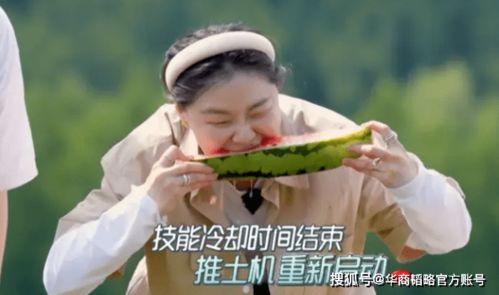 努力版吃瓜,品味人生百态